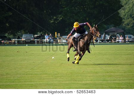 Playing Polo