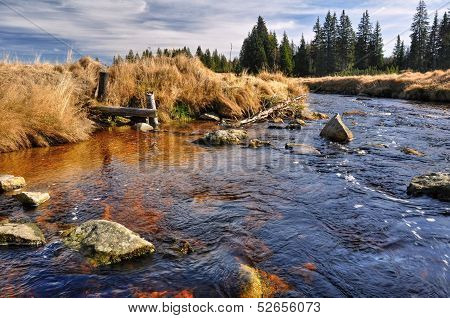 Autumn River