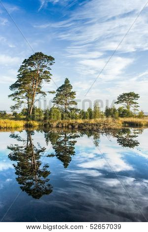 Reflections On A Calm Swamp Lake