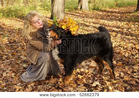 Dog In Yellow Leaves Crown