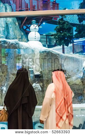Ski Dubai Is An Indoor Ski Resort With 22,500 Square Meters Of Ski Area