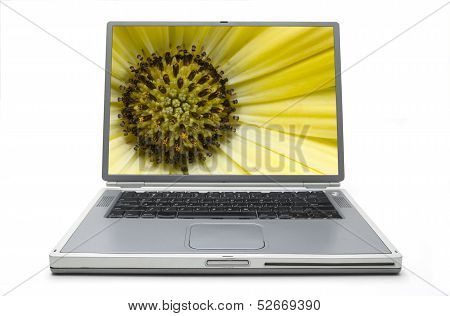 Laptop Concept Spring