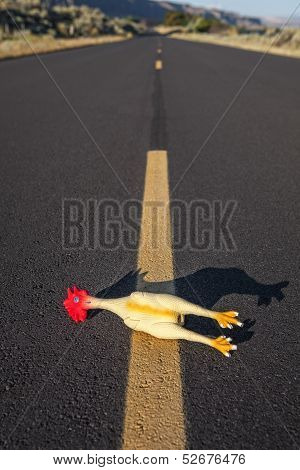 Rubber Chicken On Road