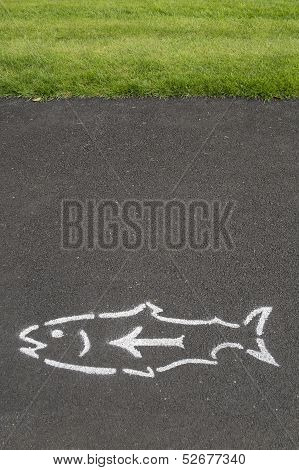 Fish And Arrow On Pavement