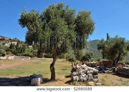 Ancient Messini