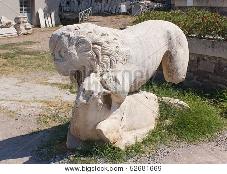 Statue Of Lion