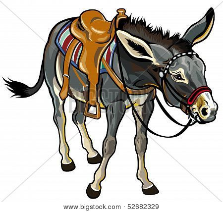 Donkey With Saddle