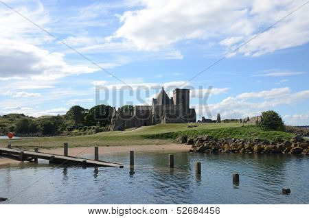 Inchcolm Shore