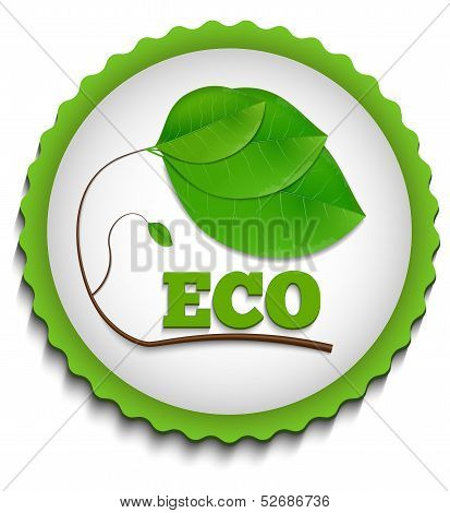 Green Eco Label