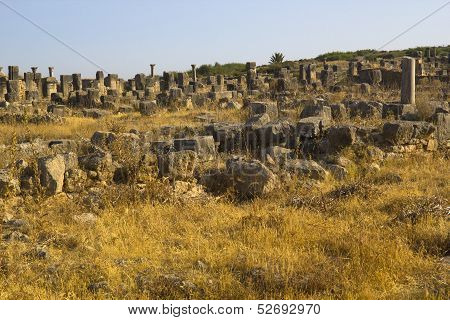 Volubilis ruins