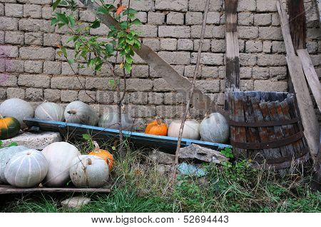 Pumpkins And Broken Barrel
