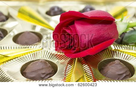 rose with chocolate