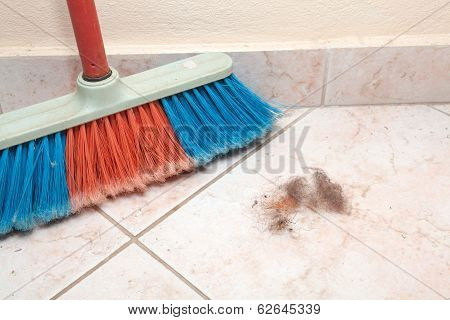 Dust Bunnies