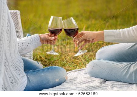 Clinking Glases With Wine On A Picnic