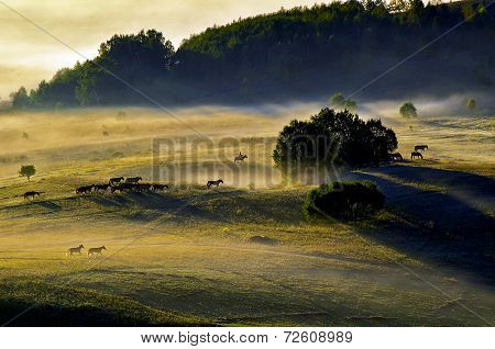 The scenery in West Sichuan