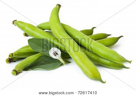 Fave With Flower, Isolated On White Background