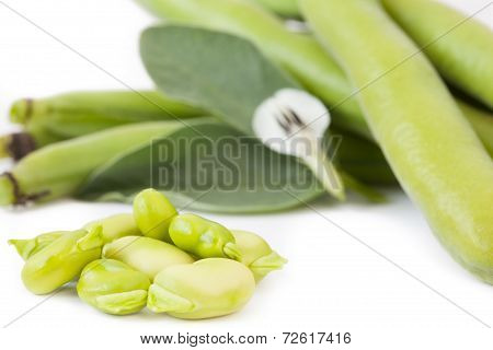 Fave With Flower, Isolated On White Background