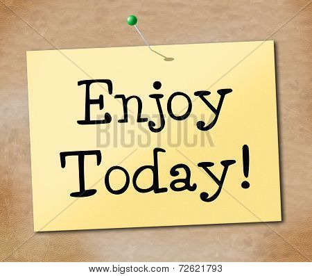 Enjoy Today Means At This Time And Cheerful