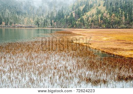 China Winter Landscape