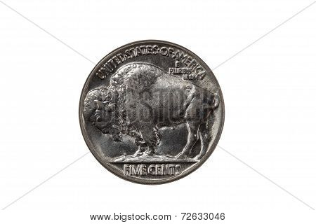 Pristine Buffalo Nickel On White Background