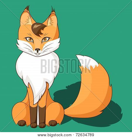 Orange Fox Sitting Isolated On Neutral Background