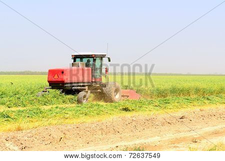 Cally Ag