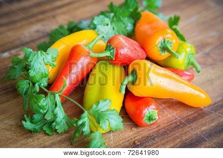 Peppers and Cilantro