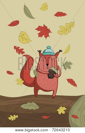 Autumn squirrel