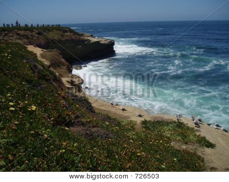 LaJolla Shore6