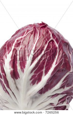 Cerca de radicchio rosso