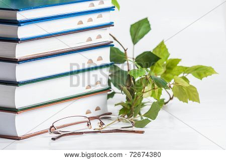 books isolated on white