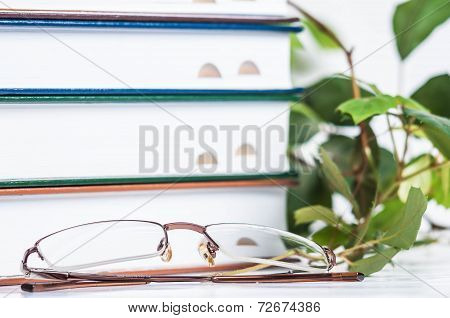 books isolated on white