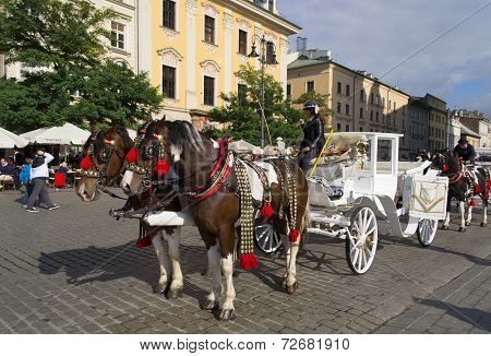 Horses pulling carriage