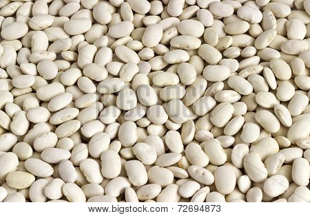 White beans