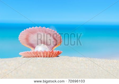 Open Shell With A Pearl On Sandy Beach