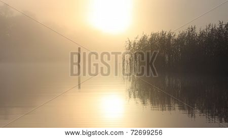 Magic misty morning
