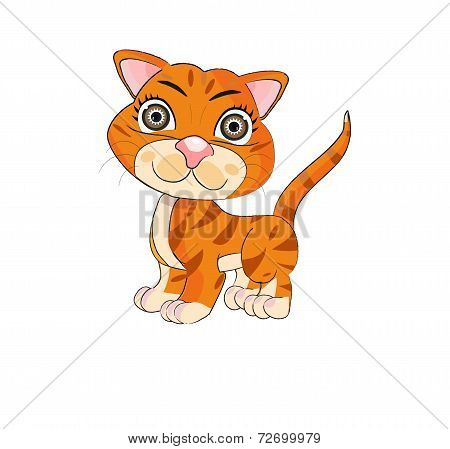 Cat Cartoon