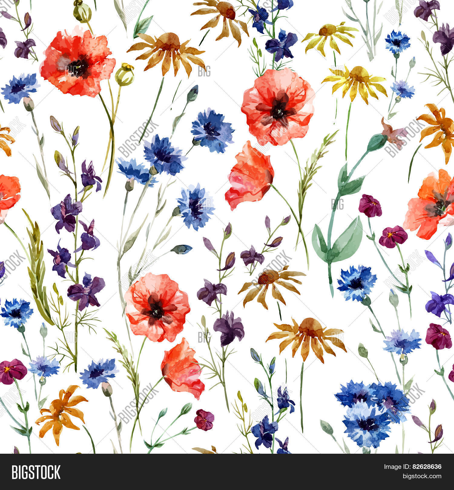 Wildflowers Vector & Photo (Free Trial) Bigstock