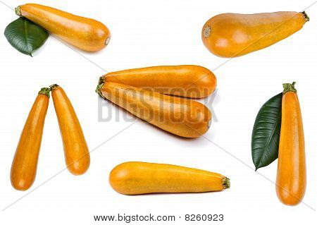 frische cukini