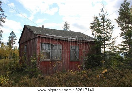 Abandoned Cabin