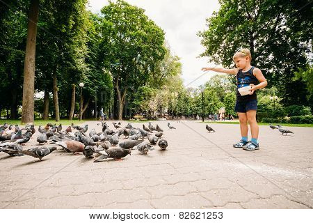 Boy feeding pigeons birds in park