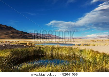 Landscapes in Northern Argentina