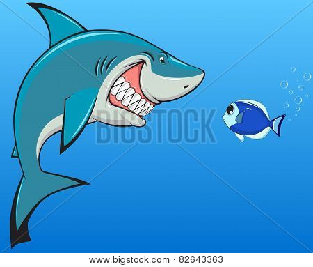 Shark and fish