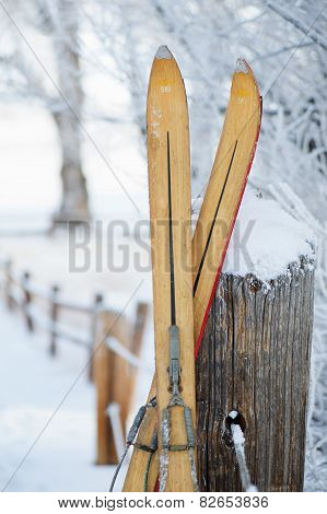 Vintage Skis in Snow Scene