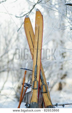 Vintage Skis in Snow Scene