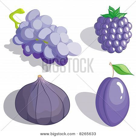 Frutta Lilla