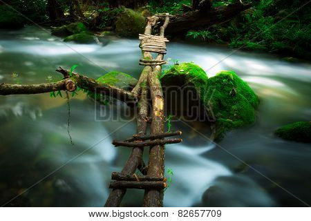 wood bridge