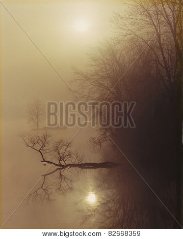 foggy sunrise