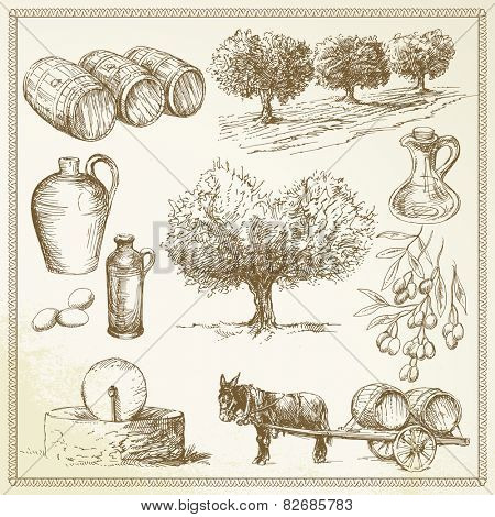 olive - hand drawn set