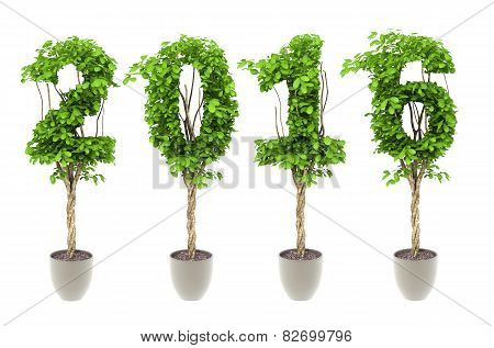 Plant Number 2016